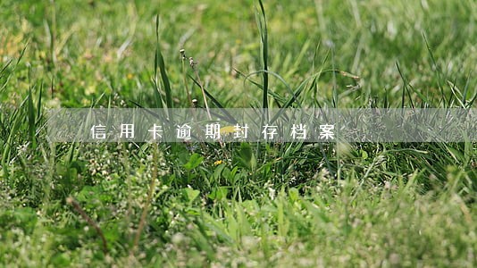 信用卡逾期封存档案 信用卡逾期封存档案