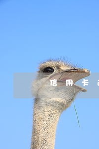 信用卡逾期封资产 信用卡逾期封资产