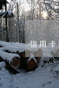 信用卡逾期将一万改为5万 信用卡逾期将一万改为5万