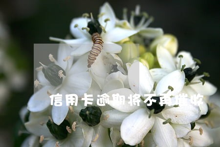 信用卡逾期将不再催收 信用卡逾期将不再催收