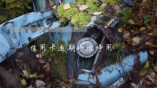 信用卡逾期将被停用 信用卡逾期将被停用