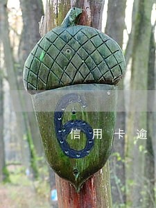 信用卡逾期小于100元 信用卡逾期小于100元