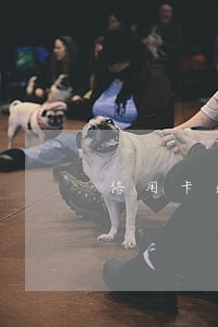 信用卡逾期小于一万