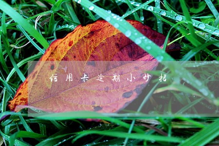信用卡逾期小妙招