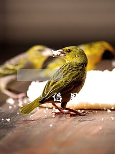 信用卡逾期小孩上学 信用卡逾期小孩上学