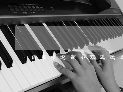 信用卡逾期小额还款立案 信用卡逾期小额还款立案
