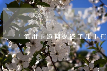 信用卡逾期少还了几十有影响不