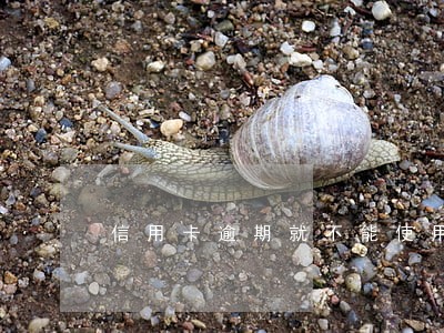信用卡逾期就不能使用了吗