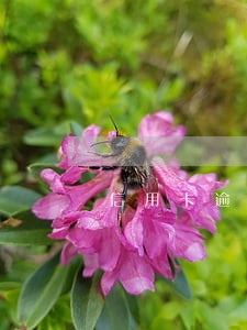 信用卡逾期就不能坐高铁了吗 信用卡逾期就不能坐高铁了吗
