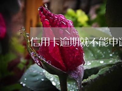信用卡逾期就不能申请分期了 信用卡逾期就不能申请分期了