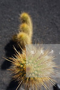 信用卡逾期就不能还最低 信用卡逾期就不能还最低