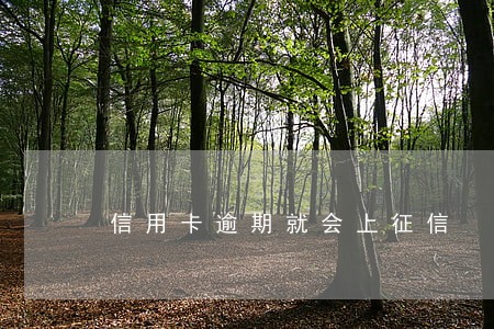 信用卡逾期就会上征信 信用卡逾期就会上征信