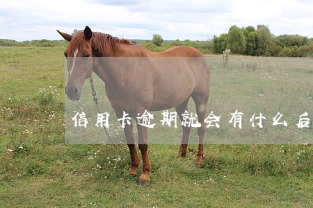 信用卡逾期就会有什么后果 信用卡逾期就会有什么后果
