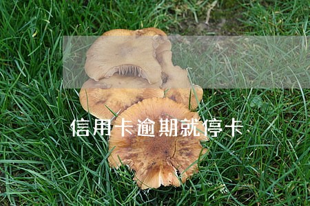 信用卡逾期就停卡