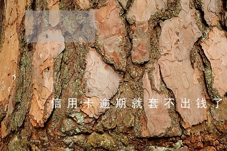 信用卡逾期就套不出钱了6 信用卡逾期就套不出钱了6