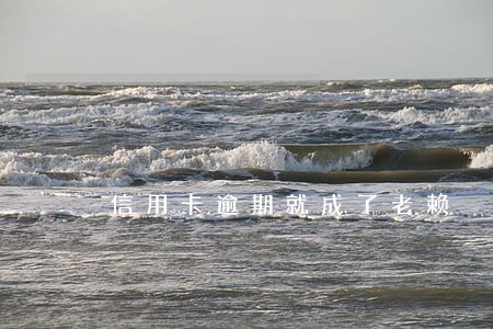 信用卡逾期就成了老赖 信用卡逾期就成了老赖