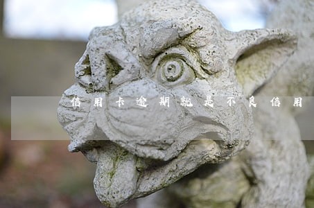 信用卡逾期就是不良信用么 信用卡逾期就是不良信用么
