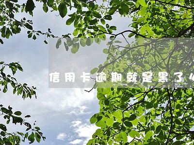 信用卡逾期就是黑了么