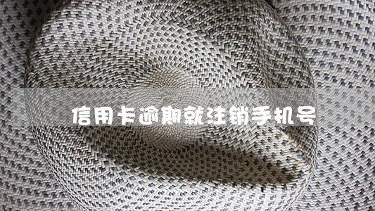 信用卡逾期就注销手机号 信用卡逾期就注销手机号