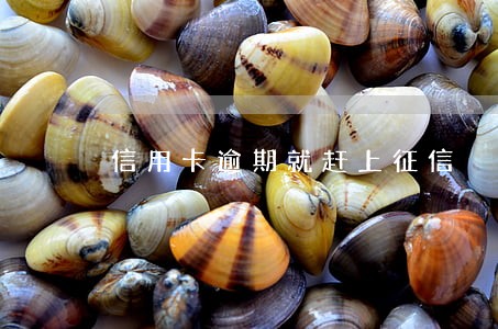 信用卡逾期就赶上征信