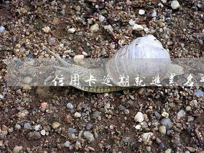 信用卡逾期就进黑名单吗 信用卡逾期就进黑名单吗