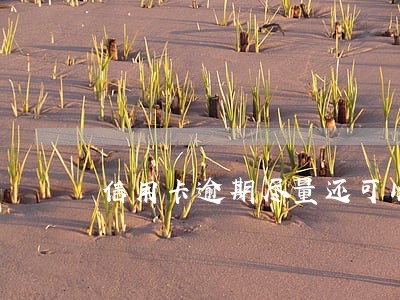 信用卡逾期尽量还可以吗