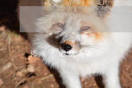 信用卡逾期屏蔽