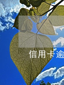 信用卡逾期属于哪种 信用卡逾期属于哪种