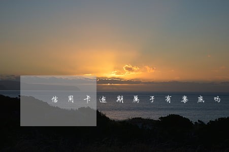 信用卡逾期属于有案底吗