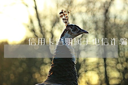信用卡逾期属于电信诈骗吗 信用卡逾期属于电信诈骗吗