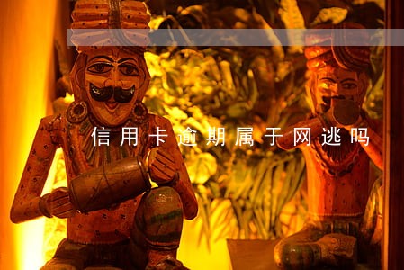 信用卡逾期属于网逃吗 信用卡逾期属于网逃吗