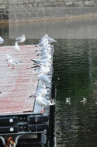 信用卡逾期属于银行坏账吗 信用卡逾期属于银行坏账吗
