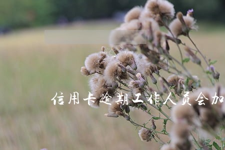 信用卡逾期工作人员会加qq