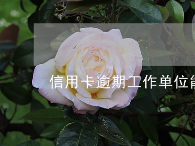 信用卡逾期工作单位能辞职