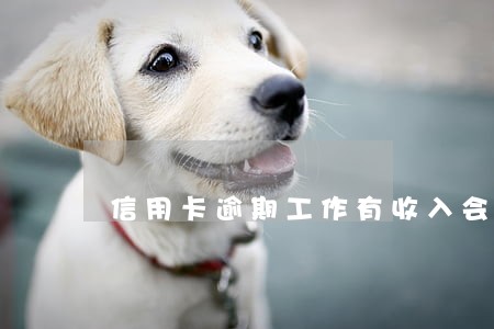 信用卡逾期工作有收入会做牢吗 信用卡逾期工作有收入会做牢吗
