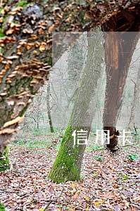 信用卡逾期工作签证 信用卡逾期工作签证