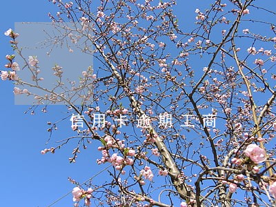 信用卡逾期工商 信用卡逾期工商