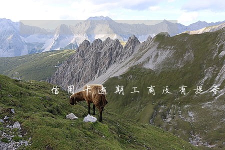 信用卡逾期工商没有提示招商 信用卡逾期工商没有提示招商