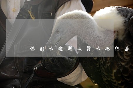 信用卡逾期工资卡冻结后 信用卡逾期工资卡冻结后