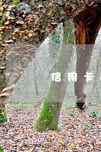 信用卡逾期工资卡同一银行 信用卡逾期工资卡同一银行