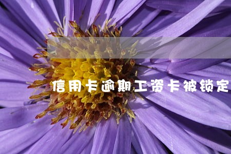 信用卡逾期工资卡被锁定