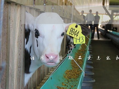 信用卡逾期工资怎么扣 信用卡逾期工资怎么扣