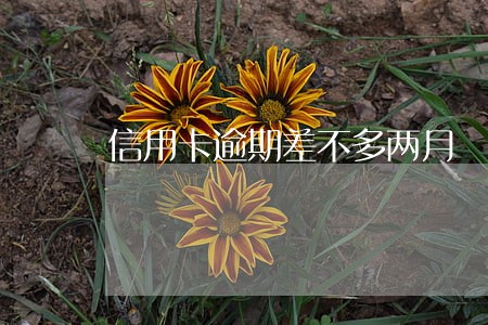 信用卡逾期差不多两月