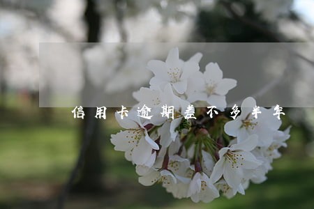 信用卡逾期差不多半年 信用卡逾期差不多半年