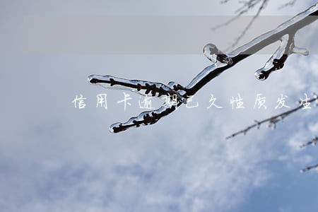 信用卡逾期已久性质发生转变 信用卡逾期已久性质发生转变