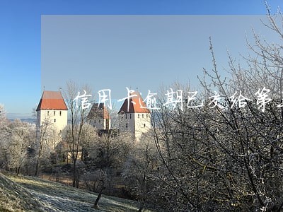 信用卡逾期已交给第三方 信用卡逾期已交给第三方