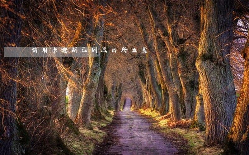 信用卡逾期已到派出所立案 信用卡逾期已到派出所立案