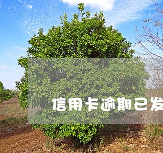 信用卡逾期已发司法信函