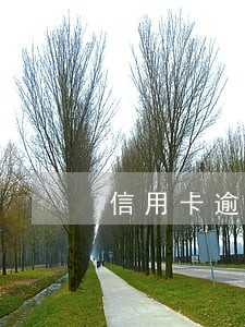 信用卡逾期已取消如何还款