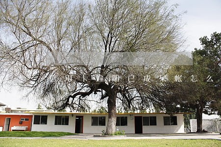 信用卡逾期已成呆帐怎么解 信用卡逾期已成呆帐怎么解